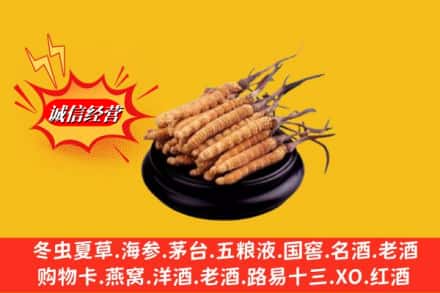西秀区名酒回收冬虫夏草.jpg